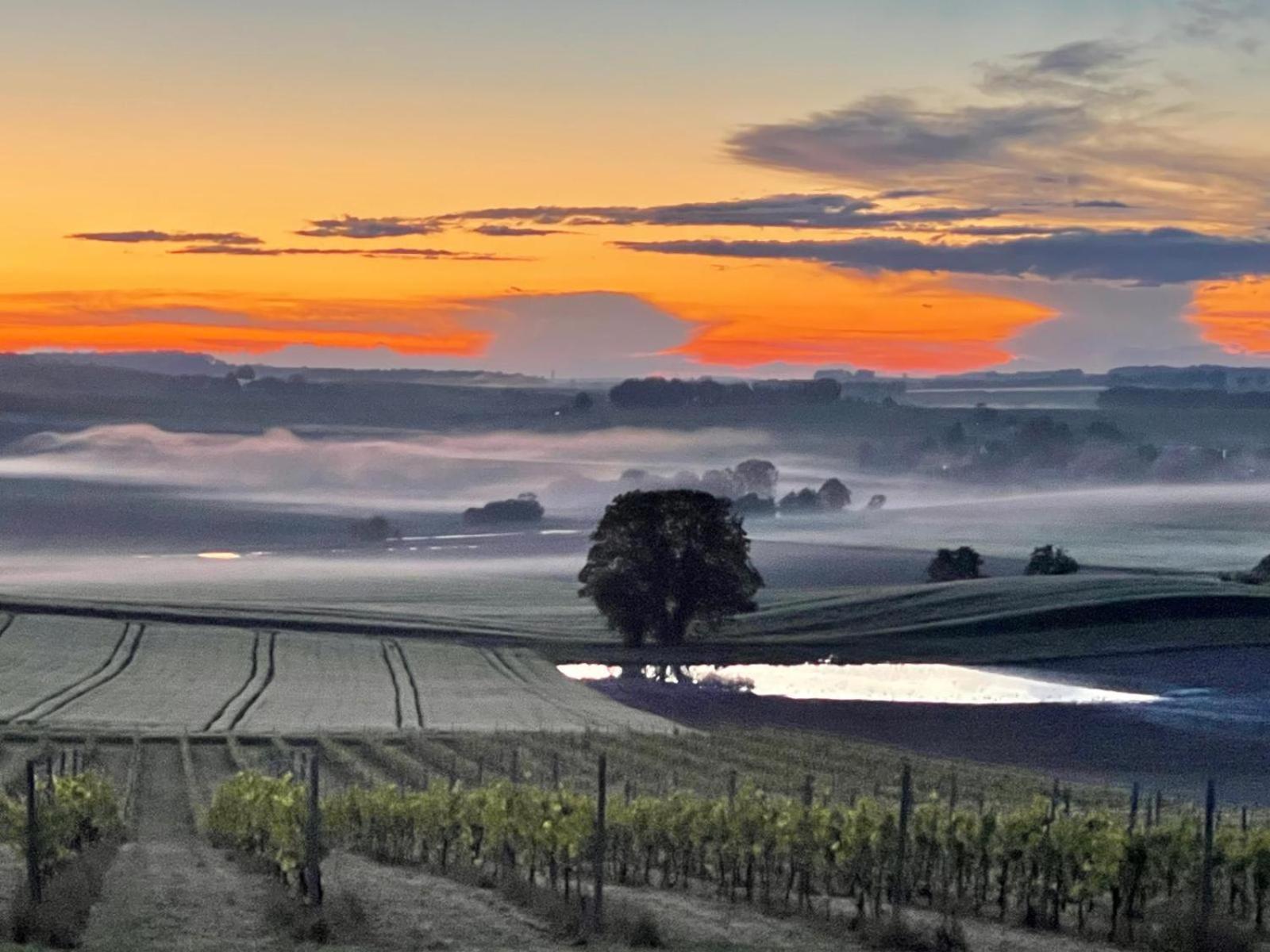 Paradis Des Vignes Birac  Ruang foto