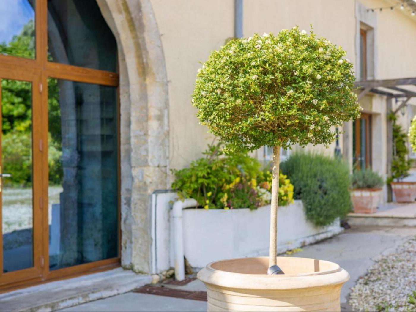 Paradis Des Vignes Birac  Ruang foto