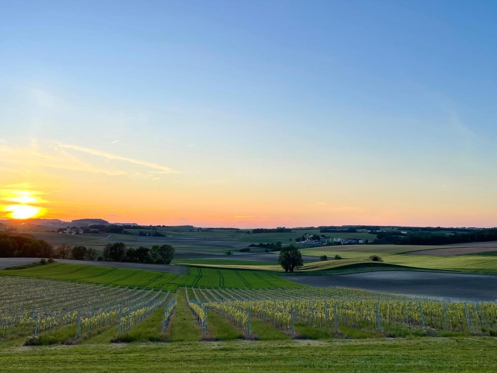 Paradis Des Vignes Birac  Ruang foto