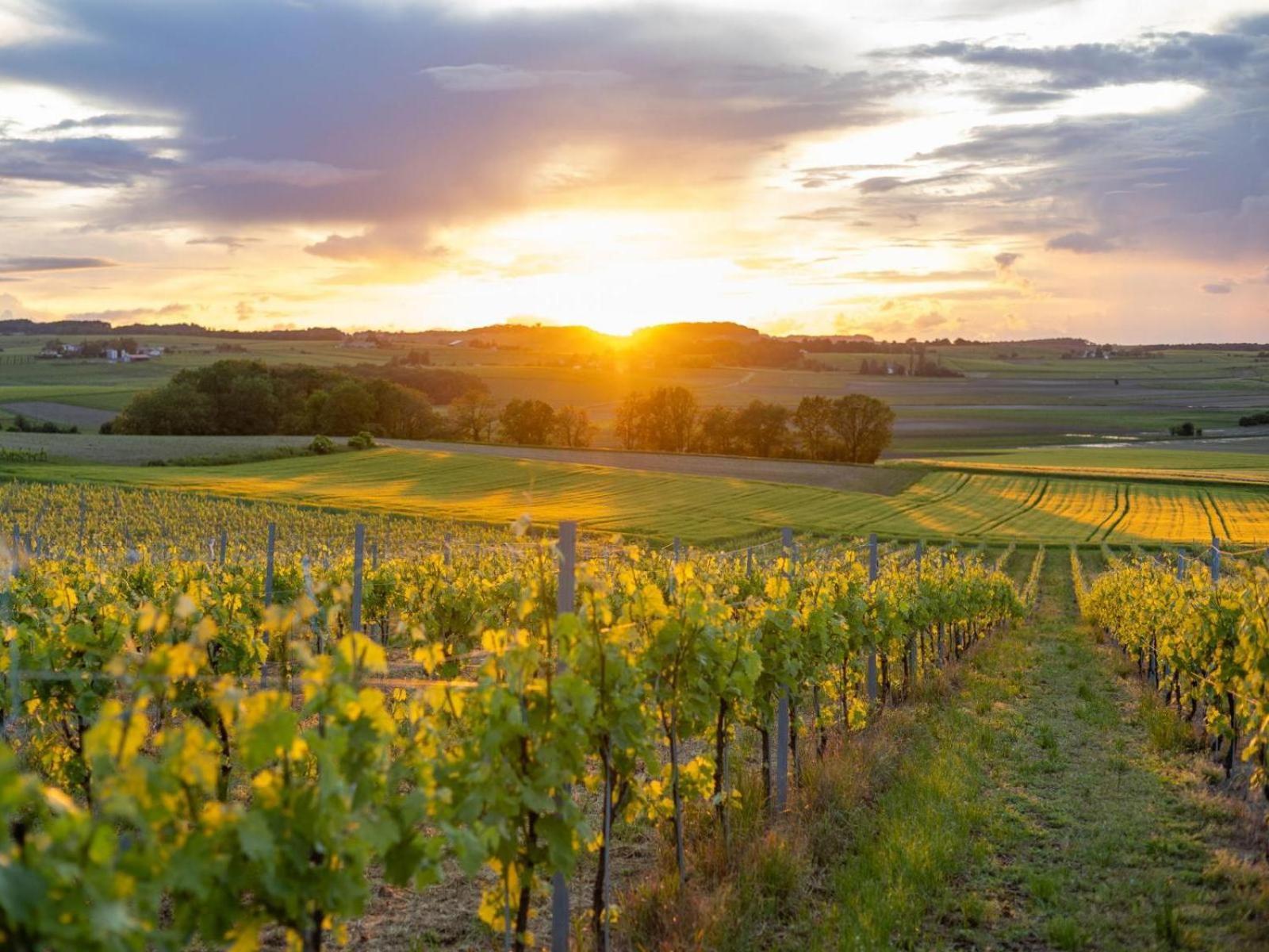 Paradis Des Vignes Birac  Ruang foto