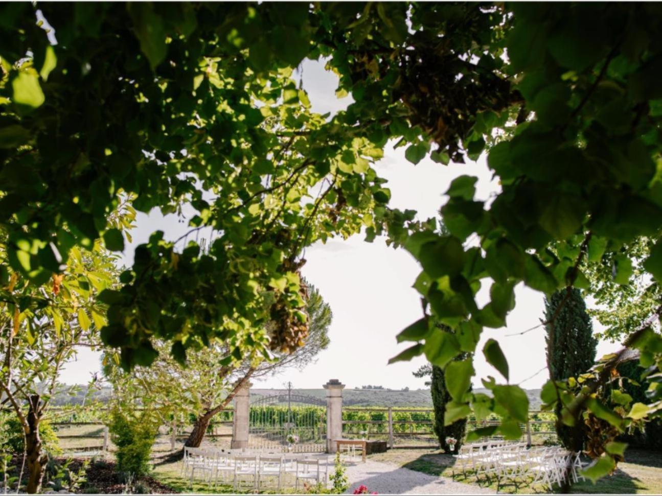 Paradis Des Vignes Birac  Bagian luar foto